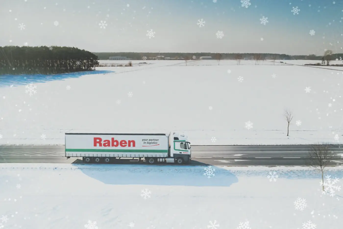 camion raben