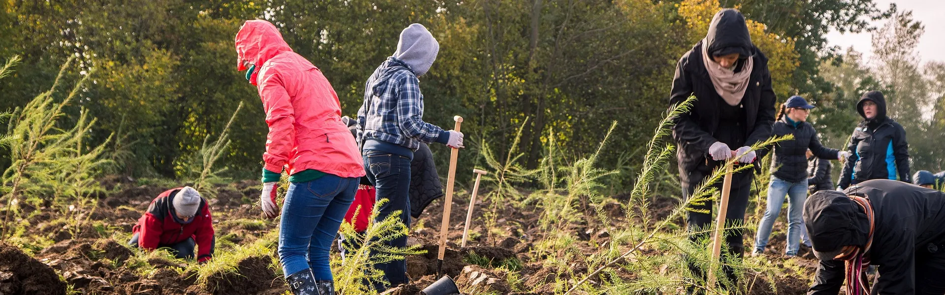 [Translate to English:] 