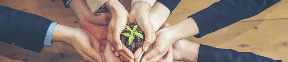 Six pairs of hands hold a plant