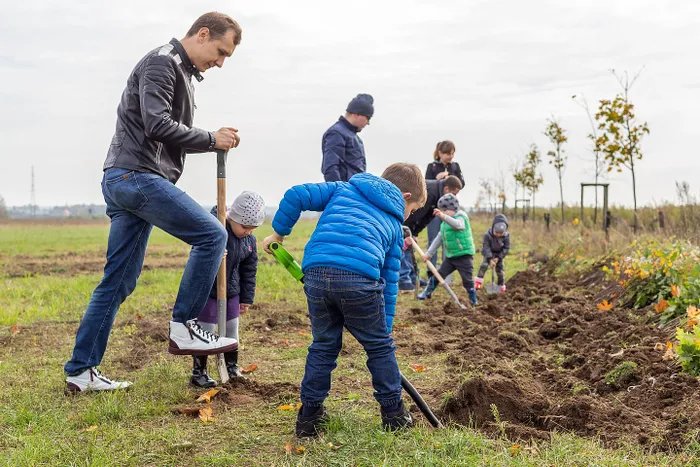 Raben employees in action planting trees