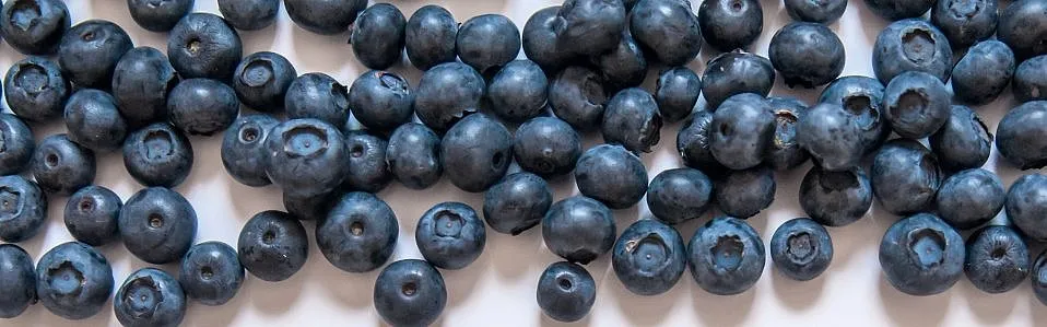 blueberries