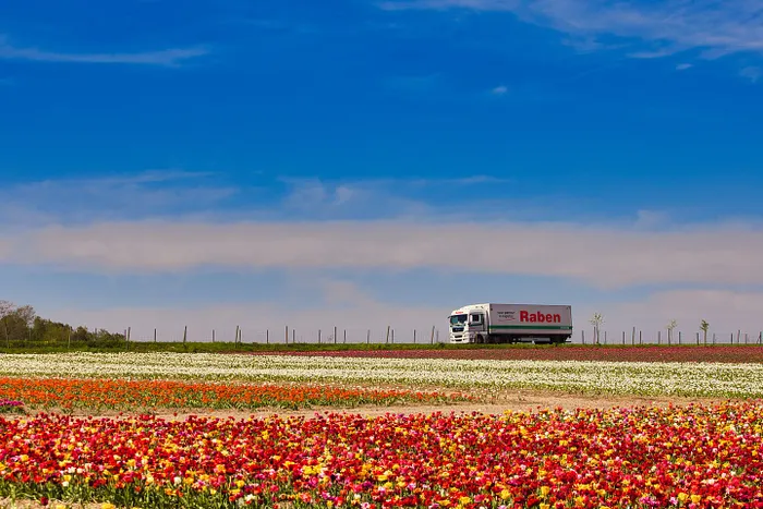 Raben truck in a tulip farm