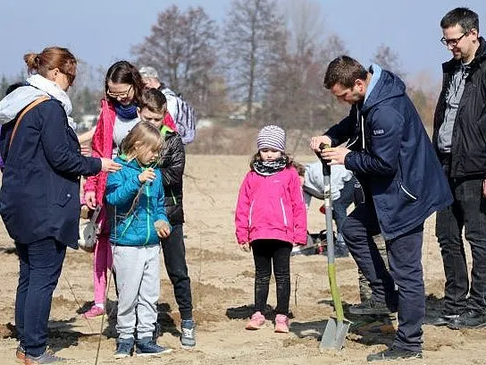 Raben employees in action planting trees
