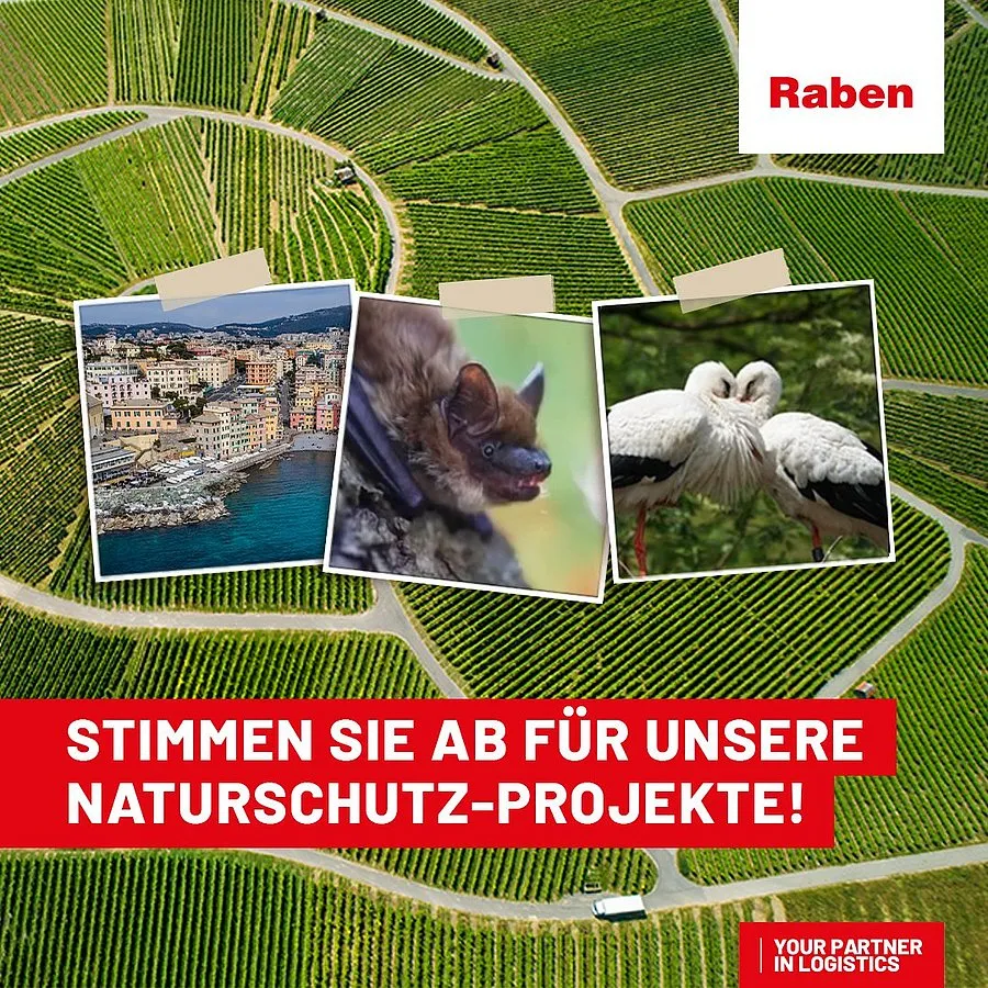 Raben ECO 