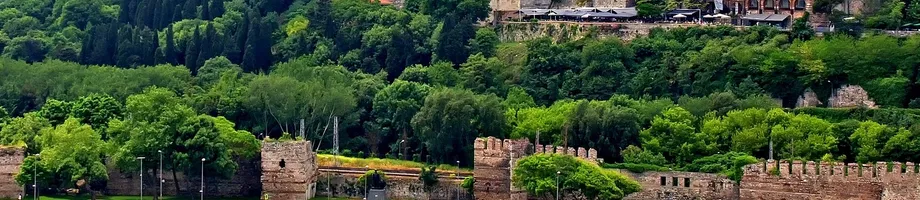 csm_www_banner_Raben_Turkiye_3840x1279-min_8aec9092aa.jpg
