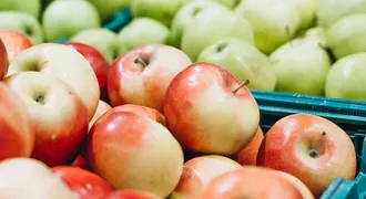 Transported apples