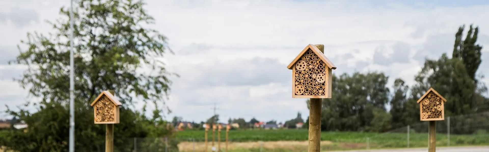 Die Raben Group ist auch in diesem Jahr wieder Pate eines Bienenvolkes