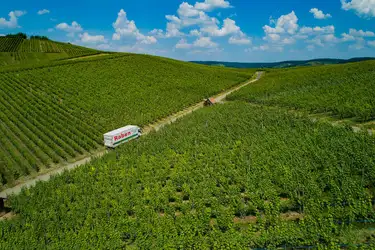 Raben Truck im Weinberg