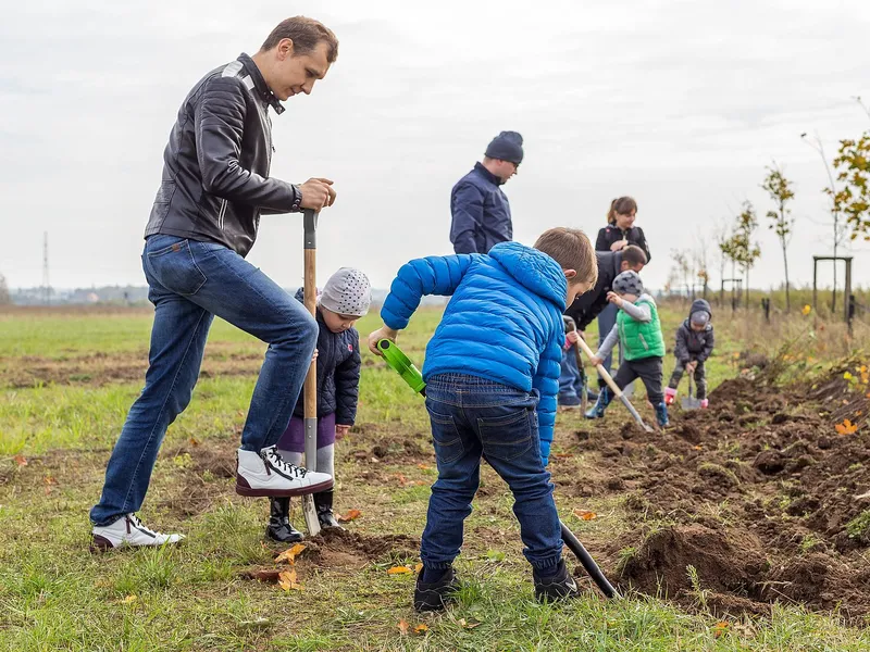 Raben employees in action planting trees