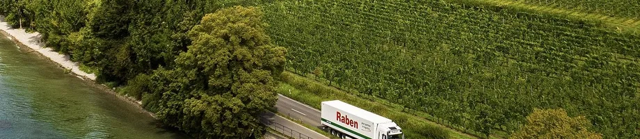 csm_Raben_Group_report1_ebffee38ad.jpg