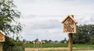 Die Raben Group ist auch in diesem Jahr wieder Pate eines Bienenvolkes