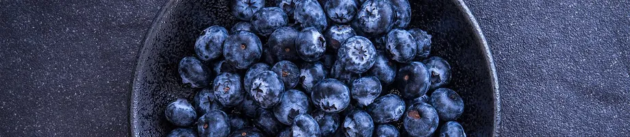 The revolutionary journey of blueberry