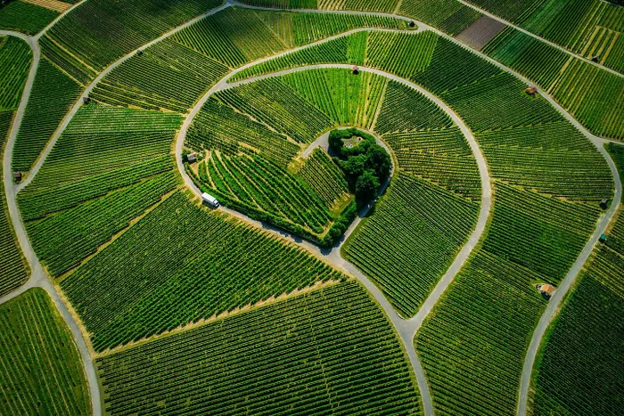 Raben doprava na cestě k zákazníkům