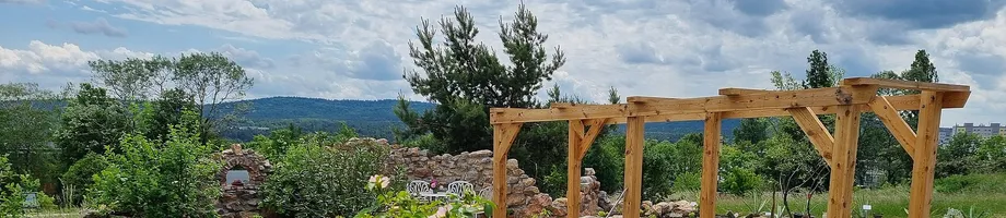 New Mediterranean Garden