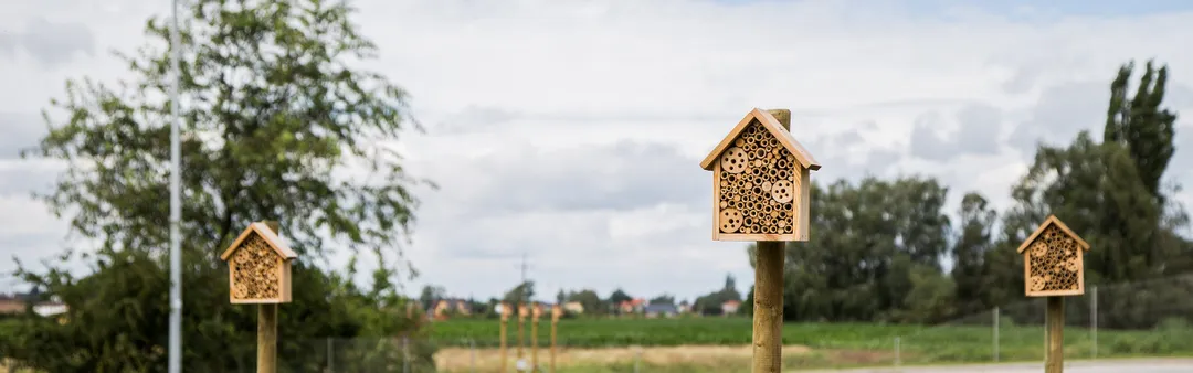 Die Raben Group ist auch in diesem Jahr wieder Pate eines Bienenvolkes