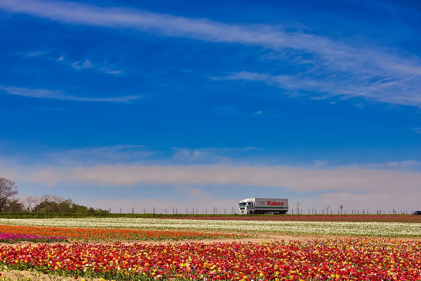 TRASPORTO GROUPAGE ITALIA-GERMANIA