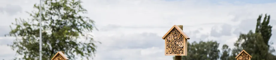 Die Raben Group ist auch in diesem Jahr wieder Pate eines Bienenvolkes