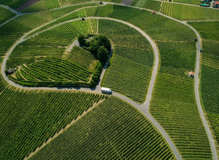 Transport Germania efectuat de Raben