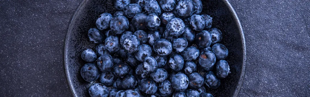 The revolutionary journey of blueberry