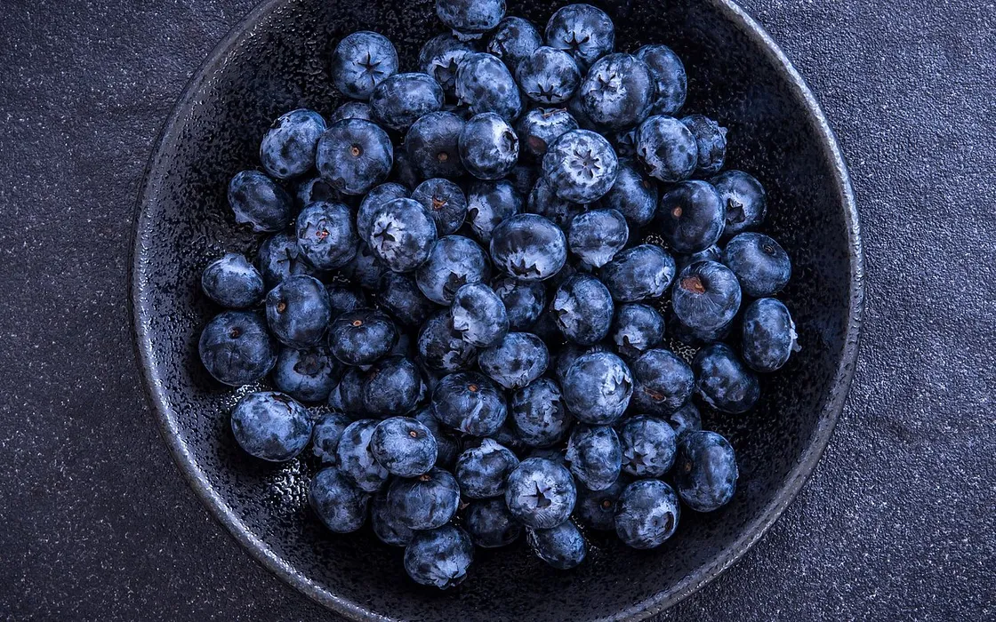 Eine revolutionäre Reise der Blaubeeren