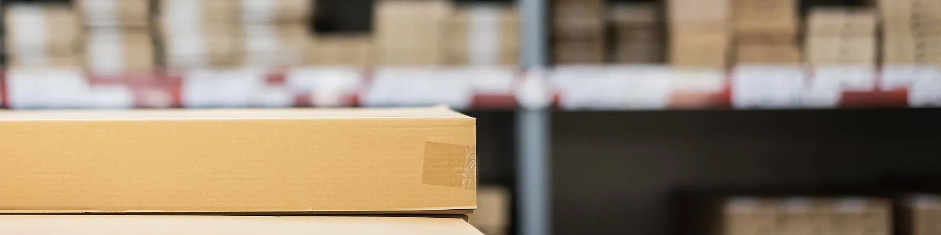 Raben Germany e-commerce