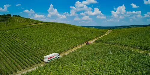 Truck in the vineyard