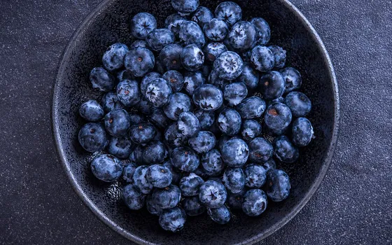 Eine revolutionäre Reise der Blaubeeren
