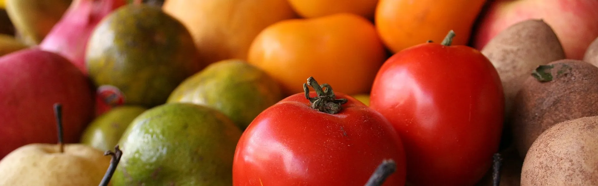 [Translate to English:] 