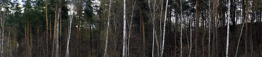 trees
