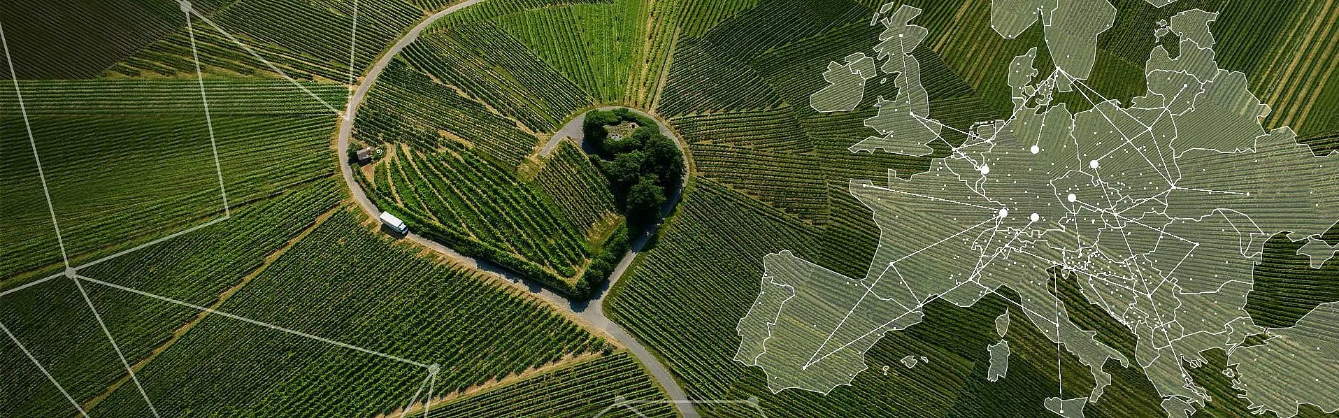 Raben Group: international transport and logistics