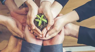 Six pairs of hands hold a plant