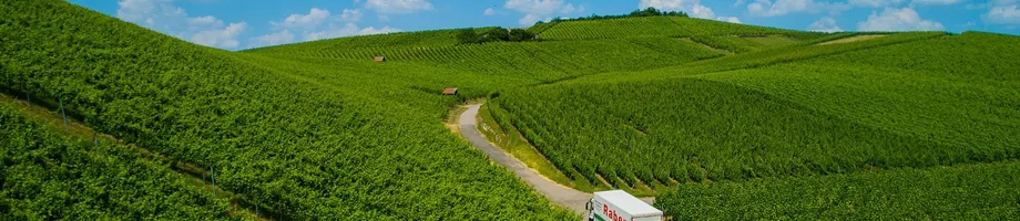Road transport national