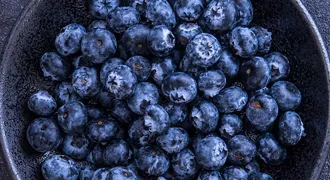 The revolutionary journey of blueberry