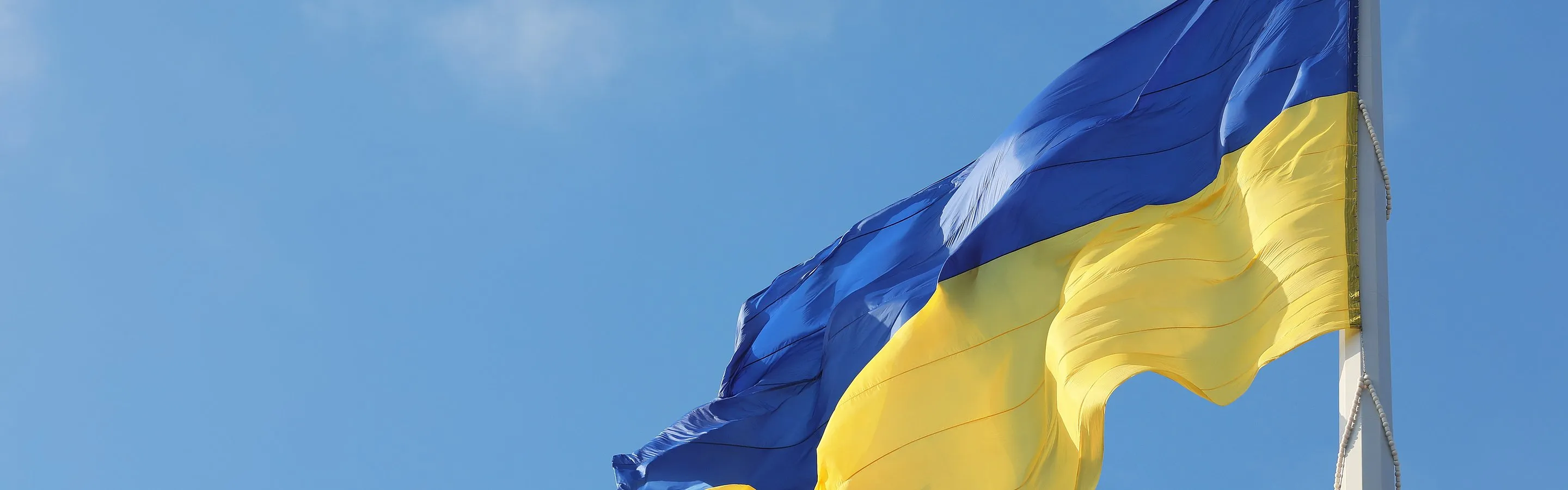 Ukraine flag