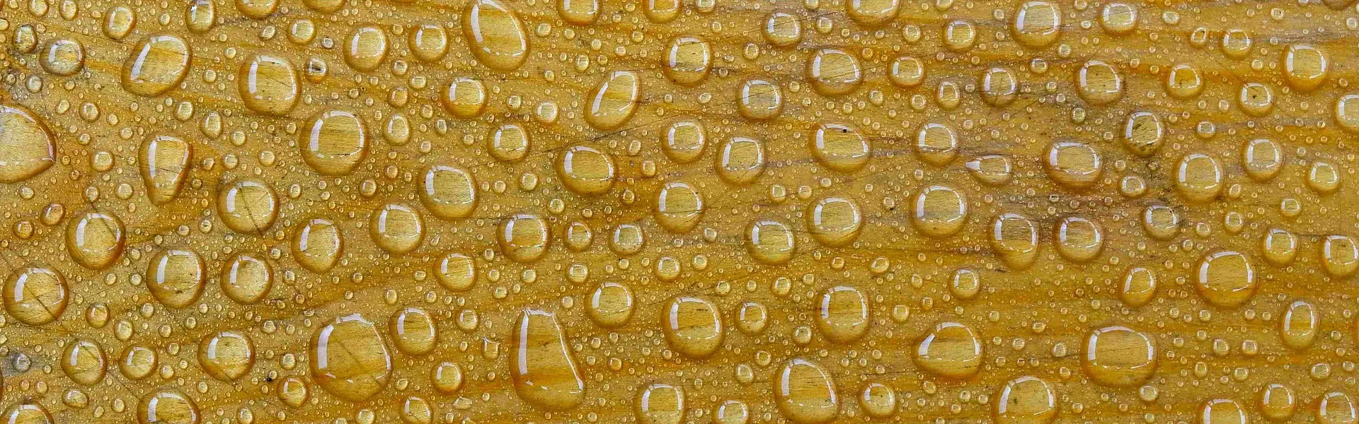 Lac protectie lemn Kneho rom